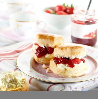 Adult Class: Loft 101 - Strawberry Social